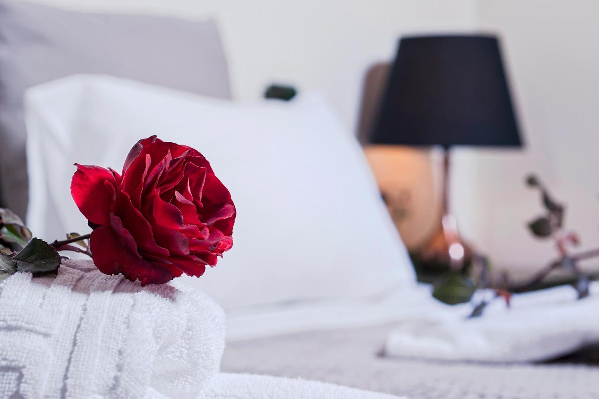 Agia Marina Kyriaki'S Cozy Apartments מראה חיצוני תמונה